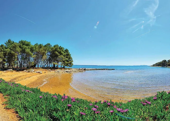 Appartement 1 Bedroom In