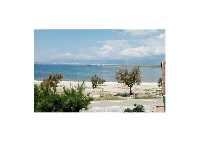 1 Bedroom In Appartement